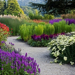 Пазл: В парке