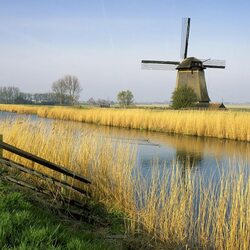 Пазл: Мельница