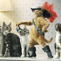 Пазл: Хвастунишка