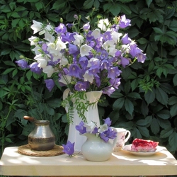 Пазл: Букет колокольчиков