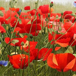 Пазл: Маки. Вышивка Су Чжоу