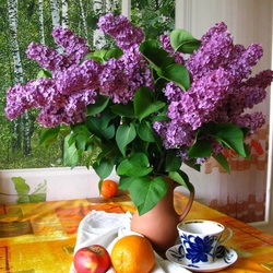 Пазл: Домашний букет