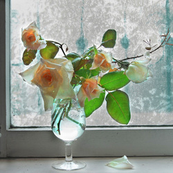 Пазл: Розы в бокале