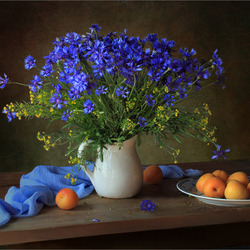 Пазл: Васильки