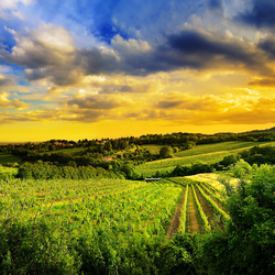 Пазл: Солнечная долина