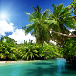 Пазл: Тропический остров