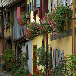 Пазл: Французская улочка