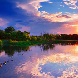 Пазл: Парк Чизем Крик