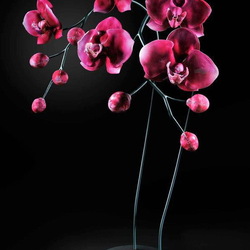 Пазл: Гигантские розовые орхидеи из стекла