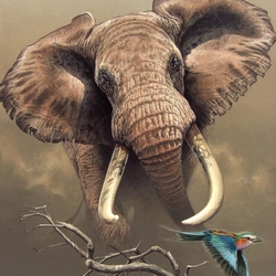 Пазл: Слон