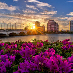 Пазл: Палм Бич. Флорида