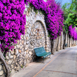 Пазл: Красивый вид