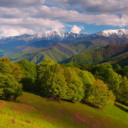 Пазл: Пейзаж