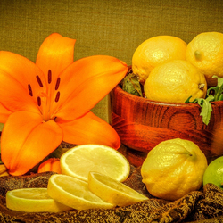 Пазл: Солнечное настроение