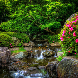 Пазл: Утопая в зелени