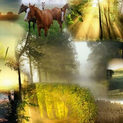 Пазл: Рассвет