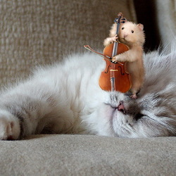 Пазл: Крепкий здоровый сон