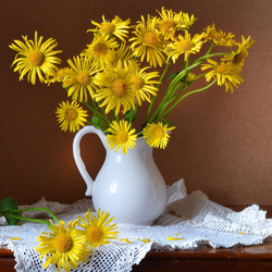 Пазл: Немного солнца