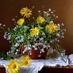 Пазл: Иллюзия неба