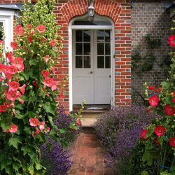 Пазл: Мальвы