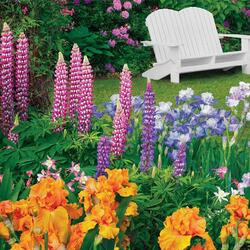 Пазл: В саду