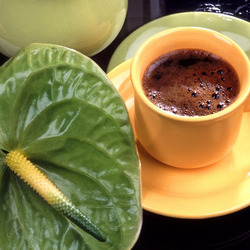 Пазл: Зеленый антриум и кофе в желтой чашке