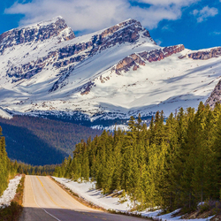 Пазл: Дорога в горы