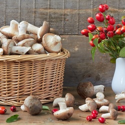 Пазл: Грибной натюрморт