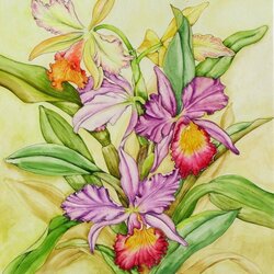 Пазл: Орхидеи Каттлеи