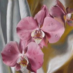 Пазл: Орхидея