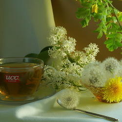 Пазл: Чайный натюрморт