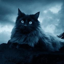 Пазл: Маскировка