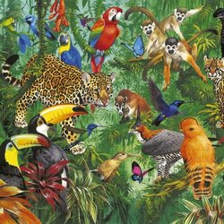 Пазл: Животный мир