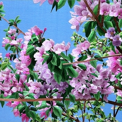 Пазл: Цветущие ветви .Китайская вышивка Су