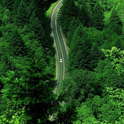 Пазл: Вид сверху