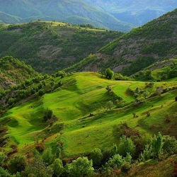 Пазл: Идиллия