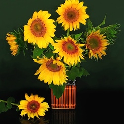 Пазл: Подсолнухи