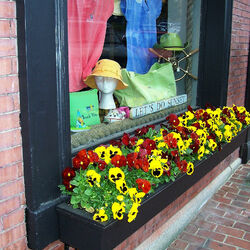 Пазл: Витрина