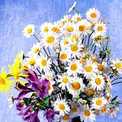 Пазл: Букет полевых цветов