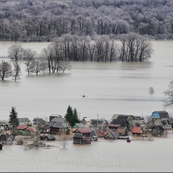Пазл: Половодье