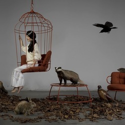 Пазл: Необычная экспозиция