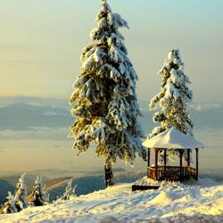 Пазл: Зимний пейзаж