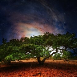 Пазл: Притяжение планет