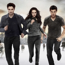 Пазл: Перед боем