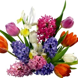 Пазл: Весенний букет