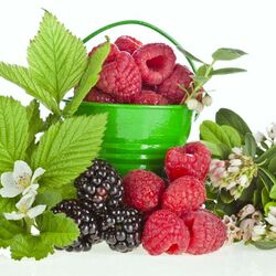 Пазл: Малина с ежевикой