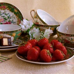 Пазлы на тему «Liliya K»