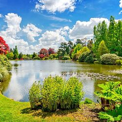 Пазл: Парк в Шеффилде