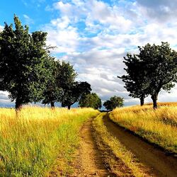 Пазл: Природа