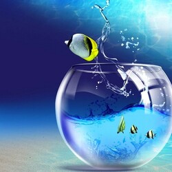 Пазл: На свободу